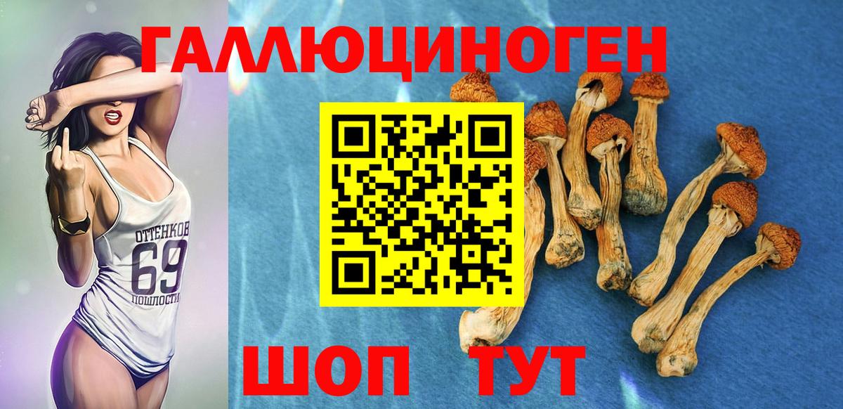Галлюциногенные грибы ЛСД Альметьевск